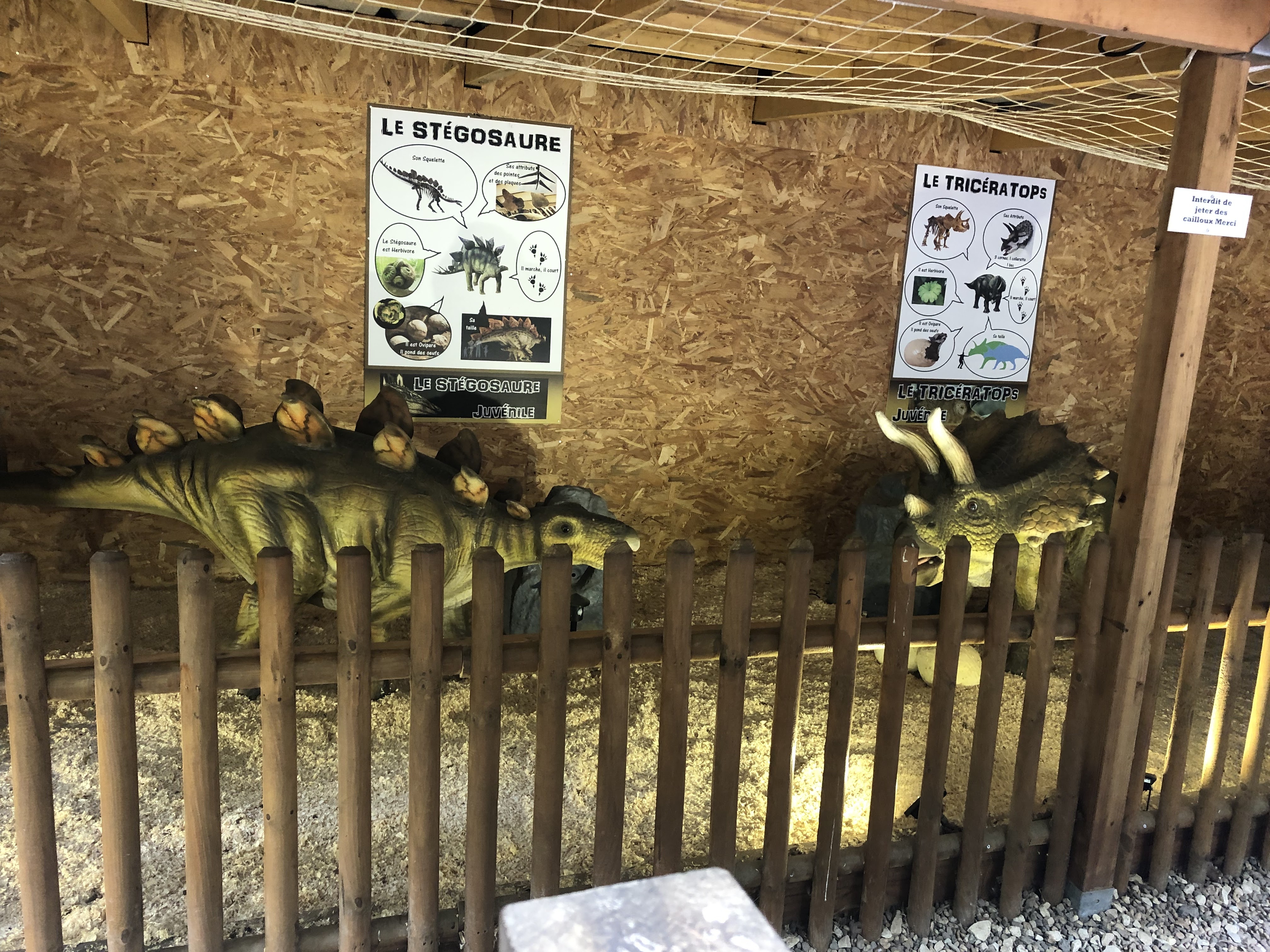 Photo n° 3 de l'avis de sarah.z fait le 28/07/2023 à 07:23