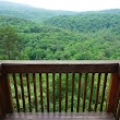 Green Ridge State Forest