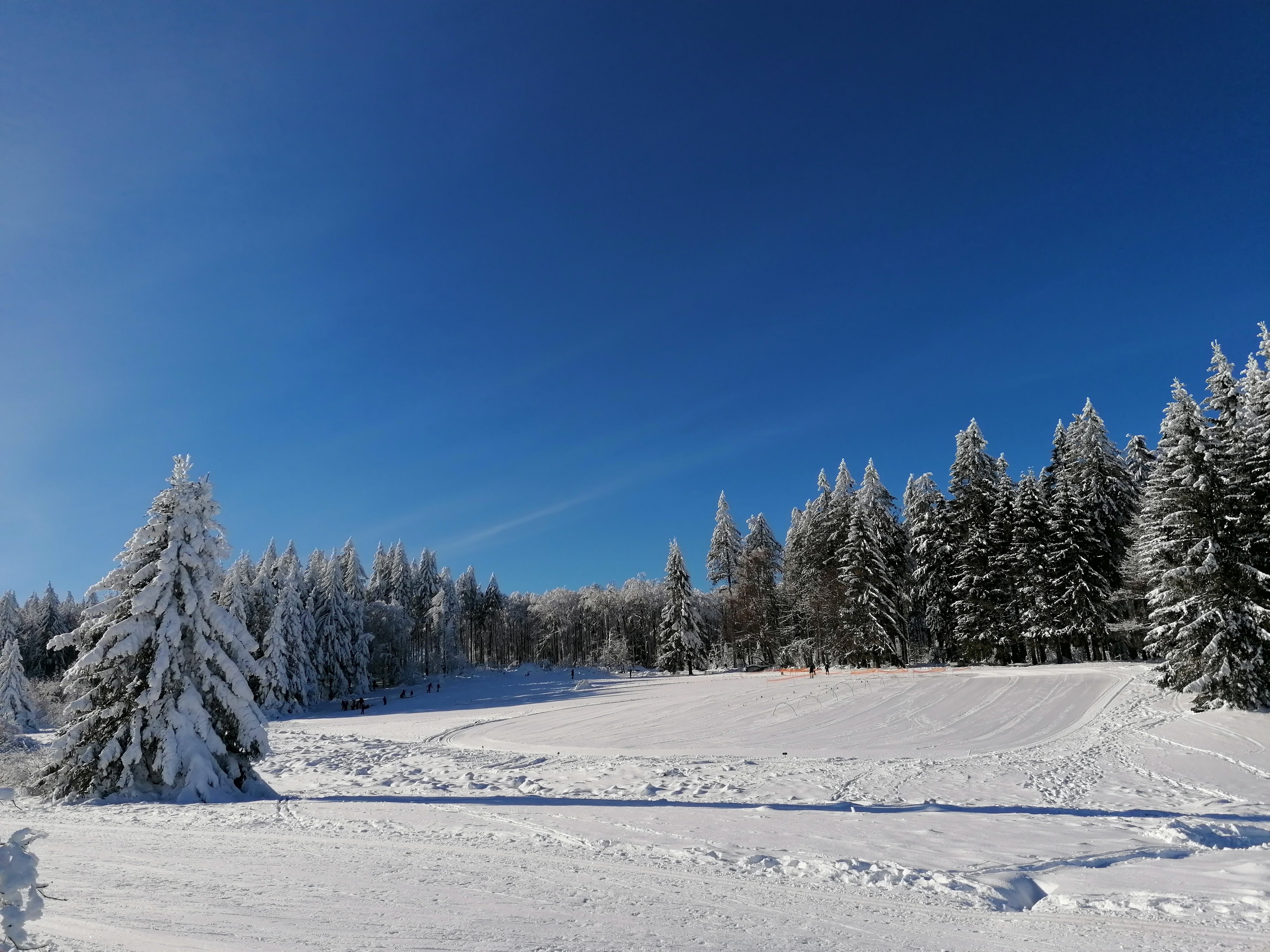 Photo n° 17 de l'avis de sumrak78. fait le 30/12/2020 à 15:39