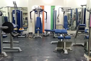 MR. India health fitness gym image