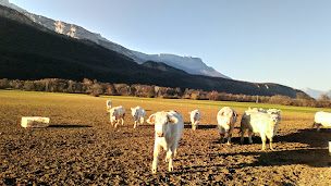 Photo n°7 de Newdeal Import à Vif ()