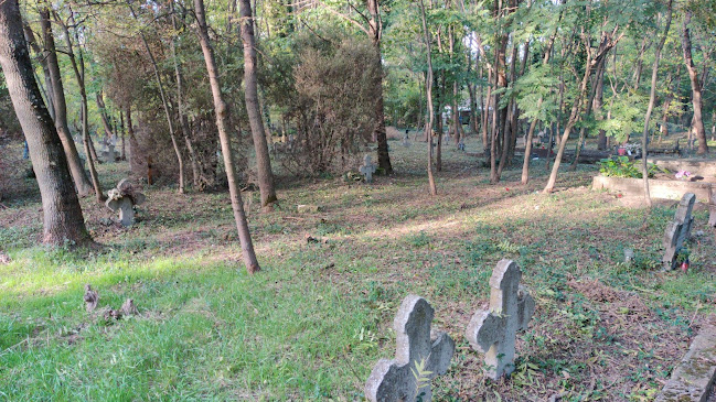 Mezőkovácsházi régi temető - Temetkezési vállalkozás