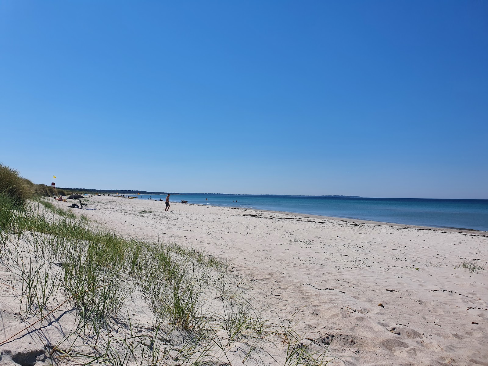 Foto de Rorvig Beach con recta y larga