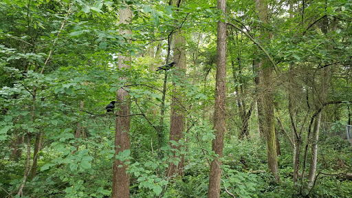 Park «Northacres Park», reviews and photos, 12718 1st Ave NE, Seattle, WA 98125, USA