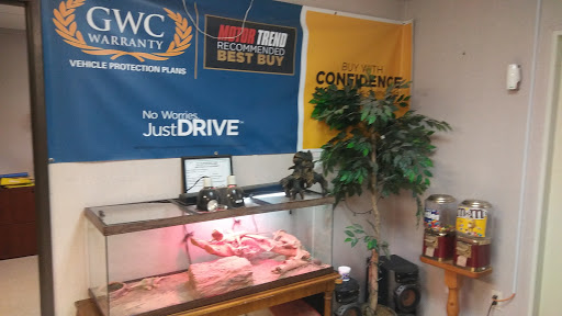 Used Car Dealer «Veracity Auto Center», reviews and photos, 1963 Austin Hwy, San Antonio, TX 78218, USA