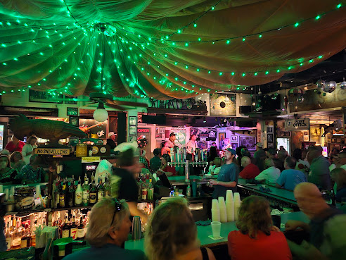 Green Parrot Bar by null