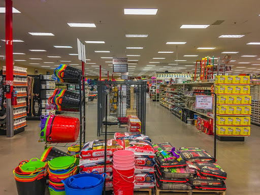 Animal Feed Store «Shoppers Supply», reviews and photos, 2880 S Alma School Rd, Chandler, AZ 85286, USA