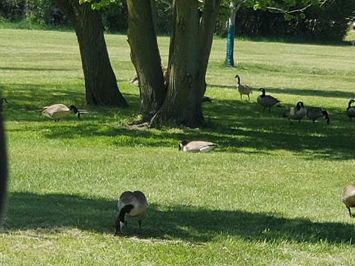 Nature Preserve «Schiller Woods East», reviews and photos, W Irving Park Rd, Chicago, IL 60634, USA