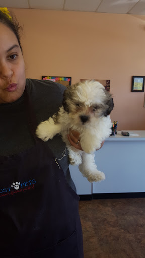 Pet Supply Store «Just Pets», reviews and photos, 8874 Maximus Dr, Lone Tree, CO 80124, USA