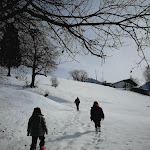 Photo n°3 de l'avis de Stefano.e fait le 04/03/2018 à 17:40 sur le  Osteria Pastina à Sale Marasino