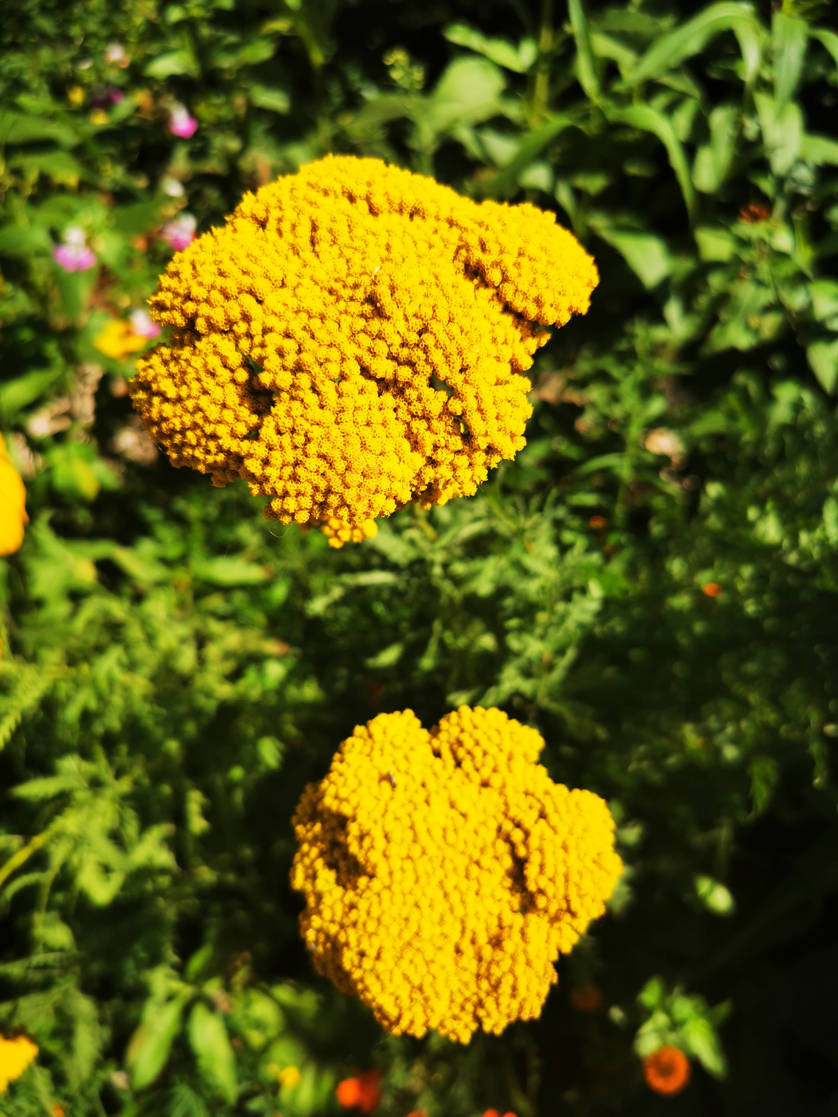 Photo n° 8 de l'avis de ASMA.A fait le 16/08/2022 à 18:29