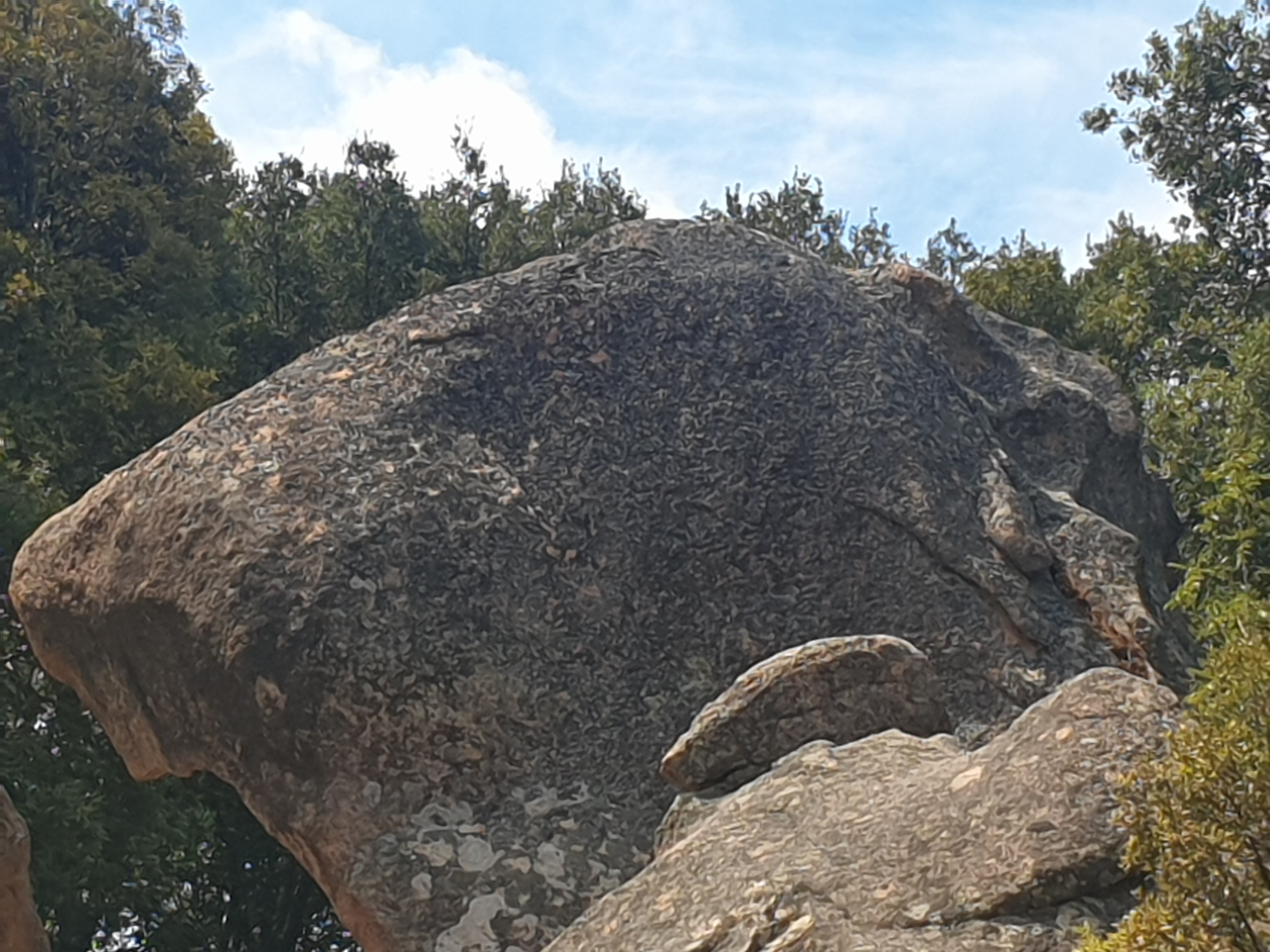 Photo n° 1 de l'avis de ANDREOTTA.u fait le 10/08/2022 à 11:18