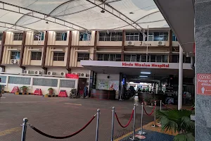 Hindu Mission Hospital image