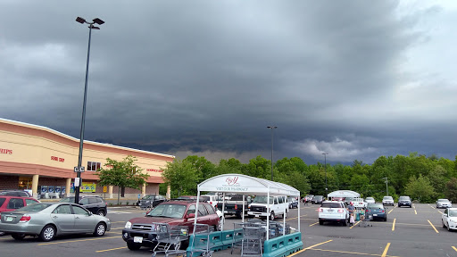 Supermarket «Big Y», reviews and photos, 300 Cooley St, Springfield, MA 01128, USA