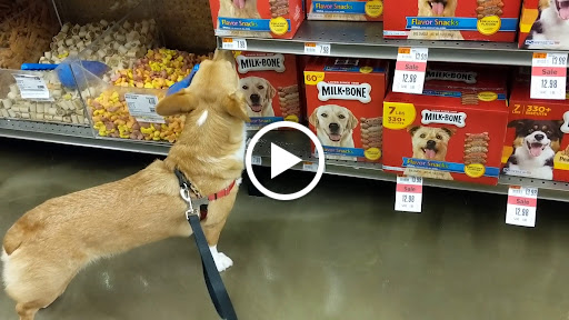 Pet Supply Store «Pet Supplies Plus», reviews and photos, 1155 Washington Pike, Bridgeville, PA 15017, USA