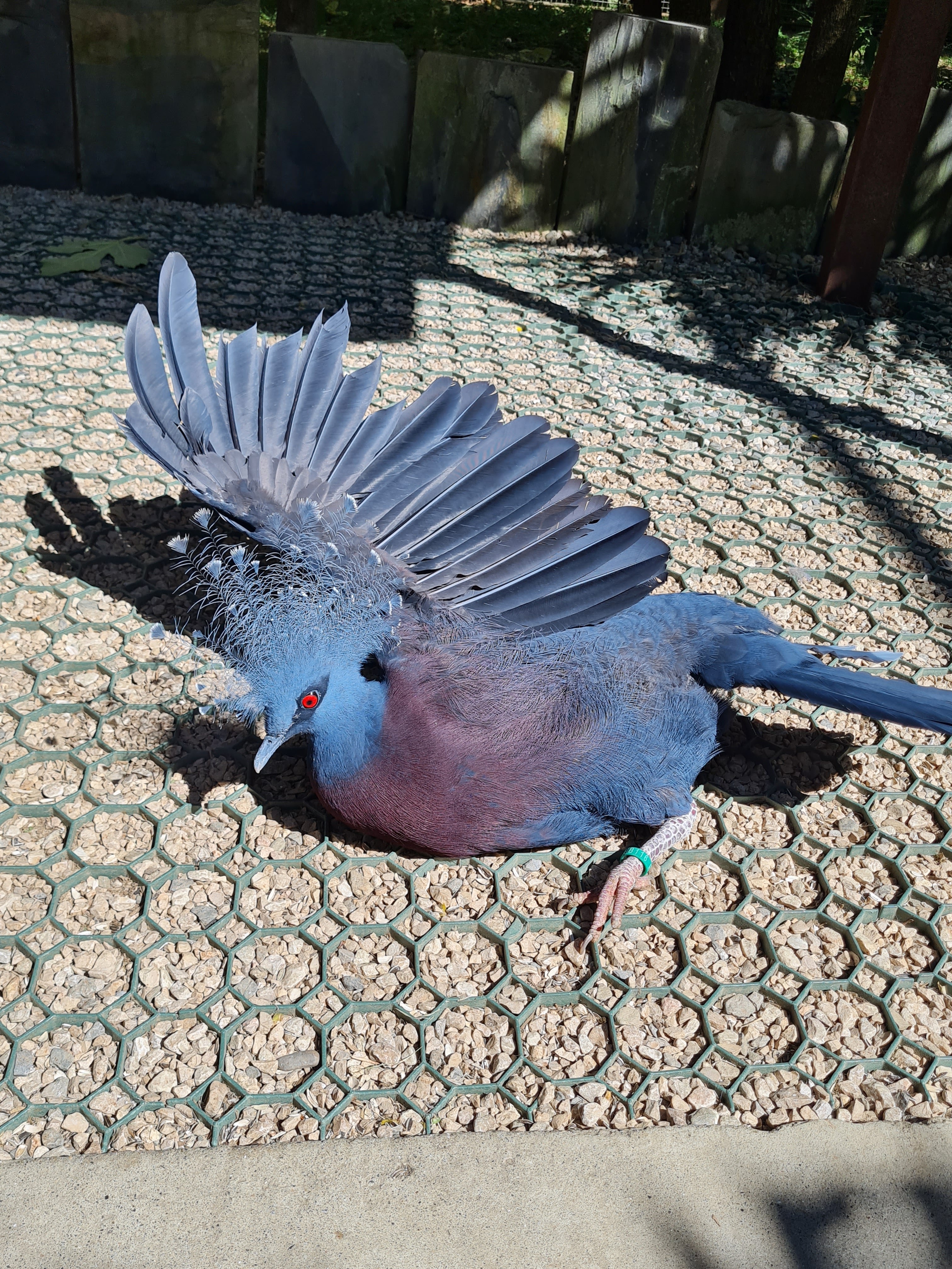 Photo n° 20 de l'avis de Marjo.e fait le 29/08/2021 à 18:20