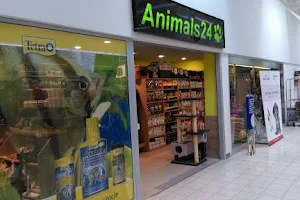 Animals24 image
