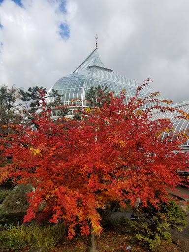 Botanical Garden «Phipps Conservatory and Botanical Gardens», reviews and photos, 1 Schenley Drive, Pittsburgh, PA 15213, USA