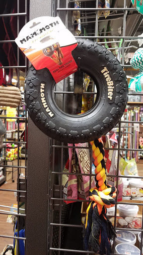 Pet Store «Hollywood Feed - Collierville, TN - Collierville», reviews and photos, 3615 S Houston Levee Rd, Collierville, TN 38017, USA