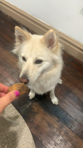 Pet Supply Store «Petco Animal Supplies», reviews and photos, 2230 Marlton Pike W #3, Cherry Hill, NJ 08002, USA