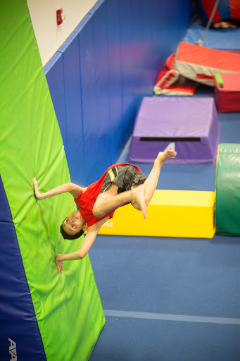 Gymnastics Center «Shields Gymnastics», reviews and photos, 17 Minneakoning Rd, Flemington, NJ 08822, USA