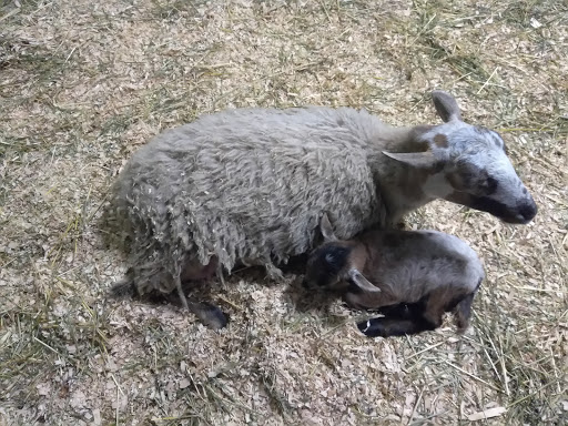 Place of Worship «The Grotto», reviews and photos, 8840 NE Skidmore St, Portland, OR 97220, USA