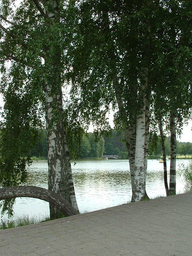 Modern Art Museum «Solomon R. Guggenheim Museum», reviews and photos, 1071 5th Ave, New York, NY 10128, USA