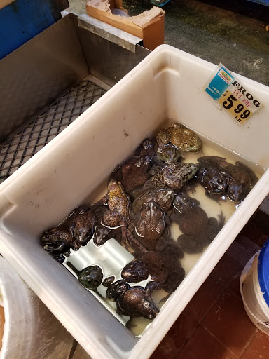 Grocery Store «Good Fortune Supermarket», reviews and photos, 230 Quincy Ave, Quincy, MA 02169, USA