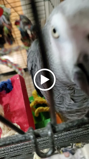 Pet Supply Store «Pet Food Express», reviews and photos, 9153 W Olympic Blvd, Beverly Hills, CA 90212, USA