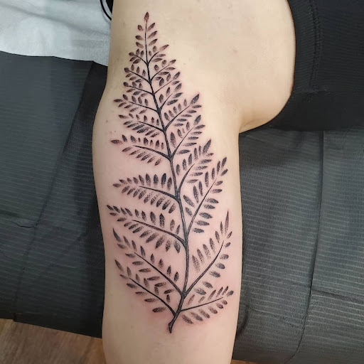 Tattoo Shop «Illuminati Tattoo», reviews and photos, 52 Front St, Santa Cruz, CA 95060, USA