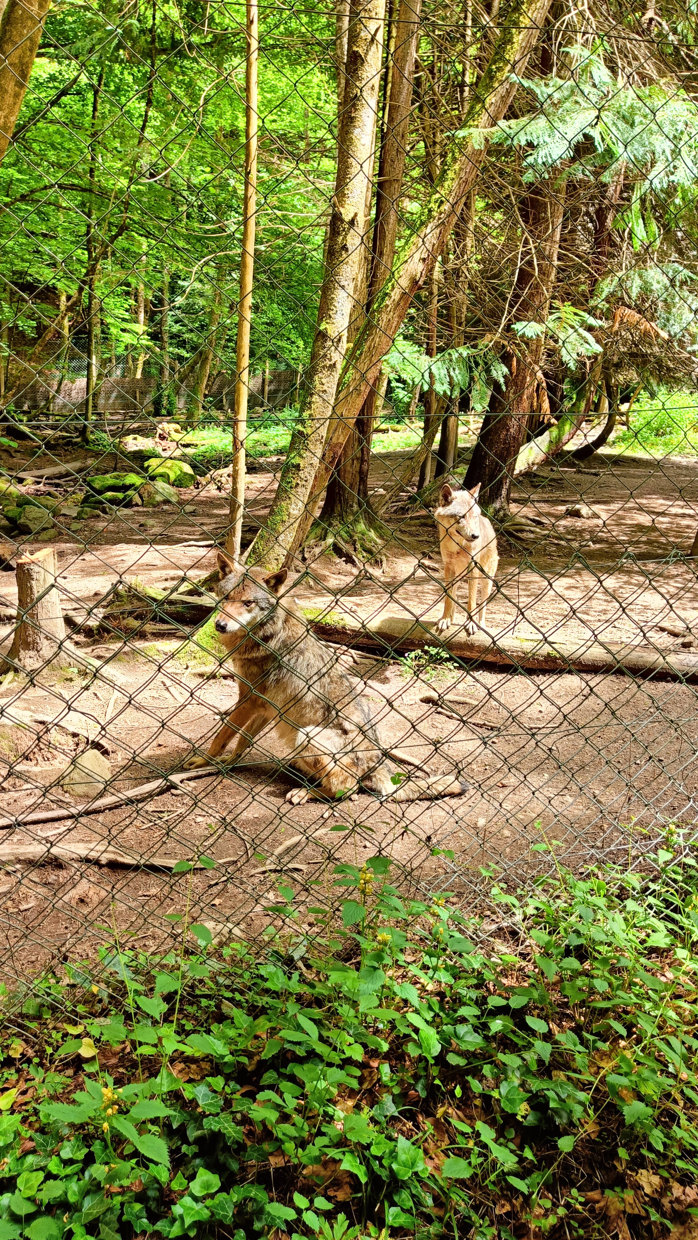 Photo n° 7 de l'avis de Nadège.N fait le 31/05/2022 à 18:17