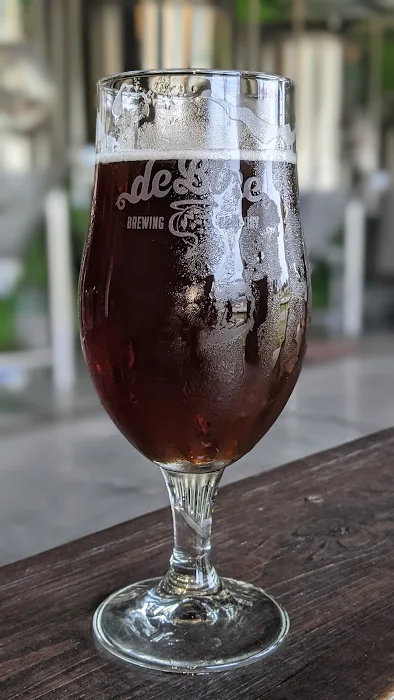 Photo of de Bine Brewing Company in Palm Harbor Florida