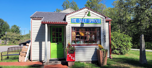 The Silly Sprout, 469 Bantam Rd, Litchfield, CT 06759, USA, 
