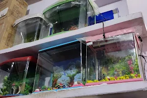 New Varanasi fish aqaurium and pet shop image