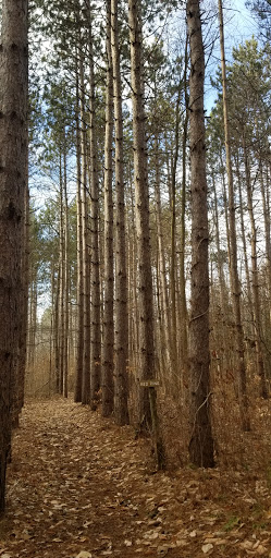 Nature Preserve «Sutherland Nature Sanctuary», reviews and photos, 3998 Diehl Rd, Metamora, MI 48455, USA