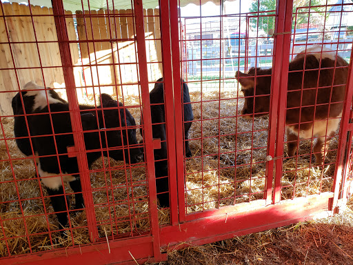 Produce Market «Didier Farms», reviews and photos, 16678 Aptakisic Rd, Lincolnshire, IL 60069, USA