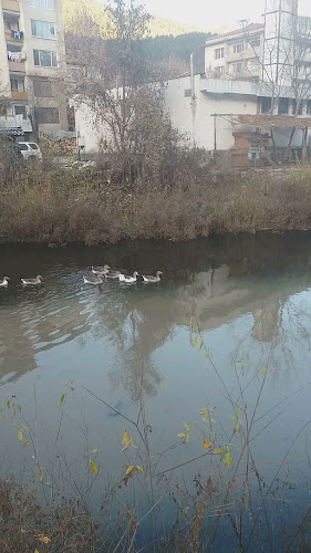 Старата Върба - Ресторант