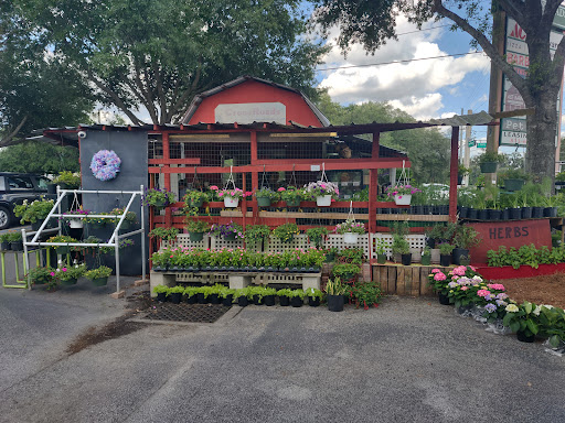 Produce Market «Crossroads Produce», reviews and photos, 10463-10487 S County Rd 39, Lithia, FL 33547, USA
