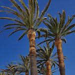 Photo n°8 de l'avis de paolo.i fait le 05/04/2018 à 15:21 sur le  Villa delle Palme à Santa Marinella