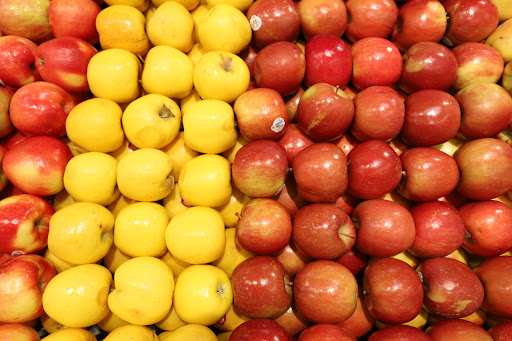 Grocery Store «Food Lion», reviews and photos, 40955 Merchants Ln, Leonardtown, MD 20650, USA