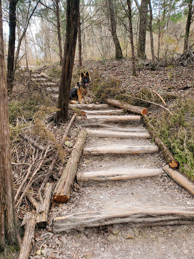 Escarpment Road Trail