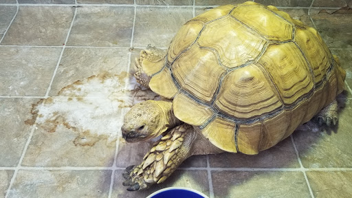 Shopping Mall «Perimeter Mall», reviews and photos, 4400 Ashford Dunwoody Road, Atlanta, GA 30346, USA