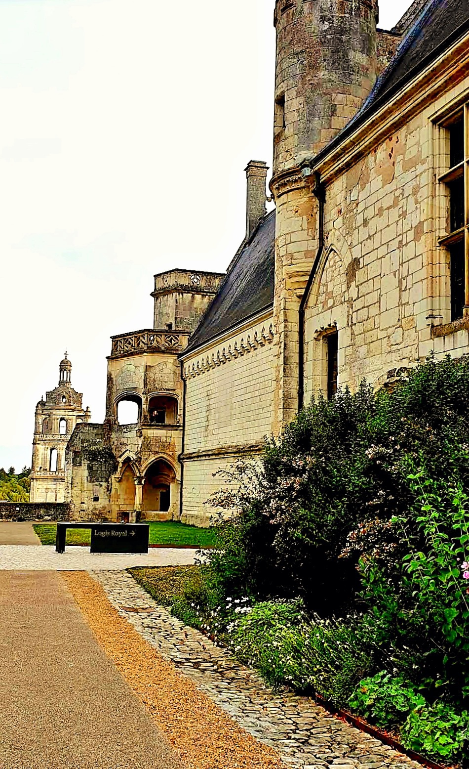 Photo n° 4 de l'avis de C.L.3 fait le 02/04/2022 à 23:19