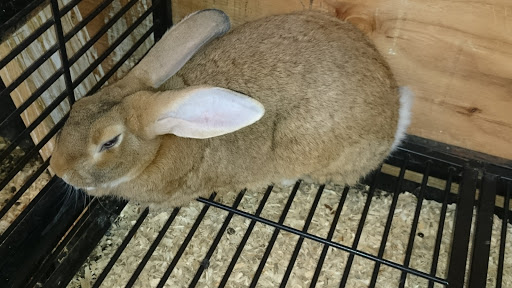 Museum «Marshall County Historical», reviews and photos, 808 E Johnson Ave, Warren, MN 56762, USA