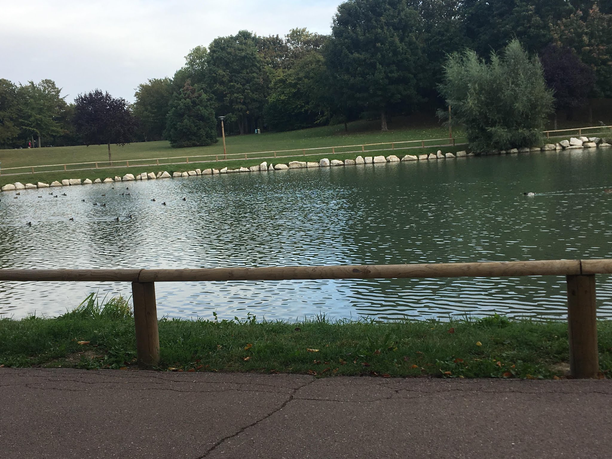 Photo n° 5 de l'avis de Youssef. fait le 20/10/2019 à 10:43