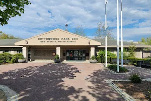Buttonwood Park Zoo image