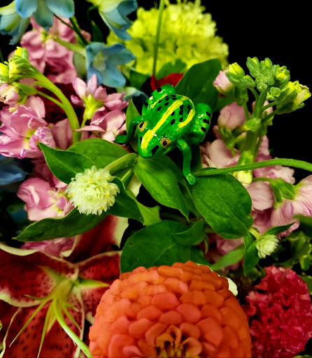 Florist «A Touch Of Elegance Florist», reviews and photos, 12123 Shelbyville Rd, Louisville, KY 40243, USA