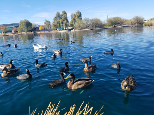 National Reserve «Riparian Preserve at Water Ranch», reviews and photos, 2757 E Guadalupe Rd, Gilbert, AZ 85234, USA