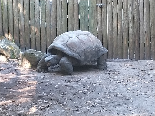 Zoo «Jacksonville Zoo and Gardens», reviews and photos, 370 Zoo Pkwy, Jacksonville, FL 32218, USA