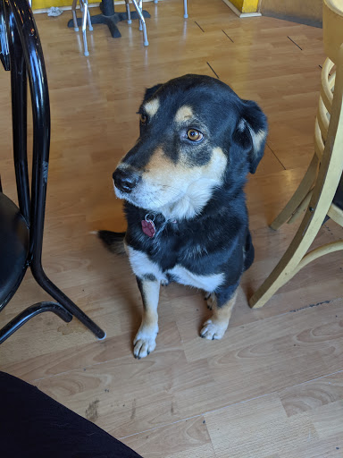 Cafe «MOJO Cafe-Coffeehouse», reviews and photos, 1700 N Park Dr, Winslow, AZ 86047, USA